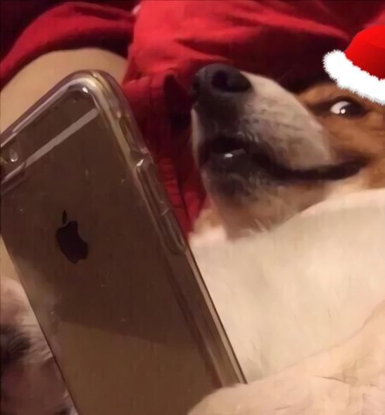 9189214495950481204585.png