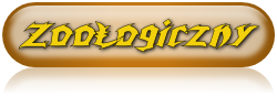 919431404041793863144.png