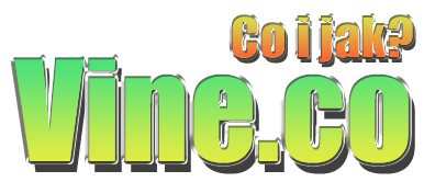 920681401124687220780.png