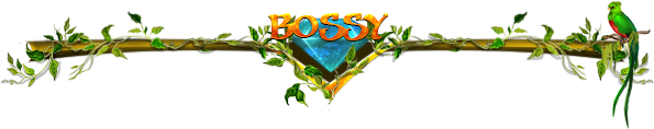 bossy.png