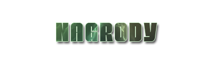 926801408060338962219.png