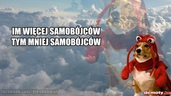 9283314359382831149383.jpeg