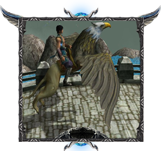 9316214204935871317980.png