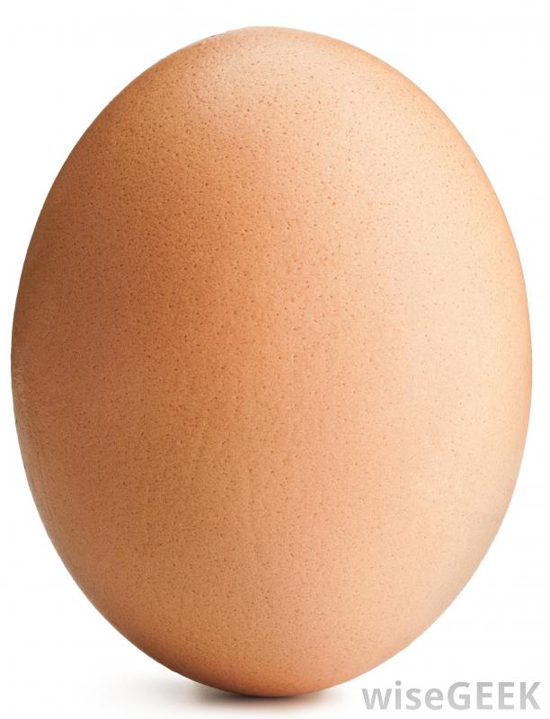9319414186824581155278.jpg