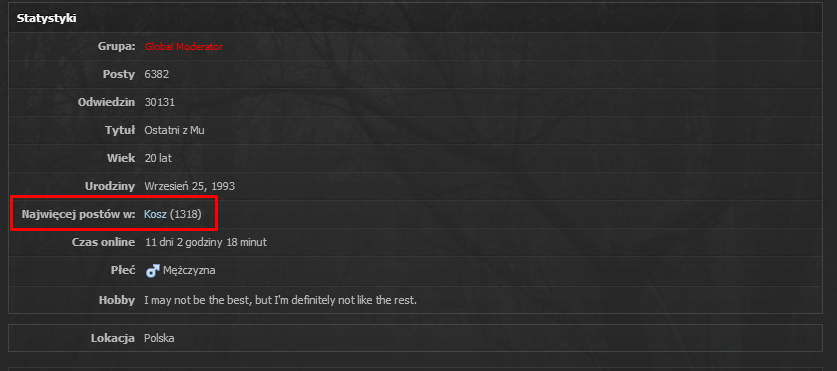 kn4MeWs.png