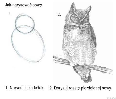 jak-narysowac-sowe-4627.png
