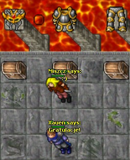33578sg.png