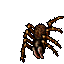 967121408781881879711.gif