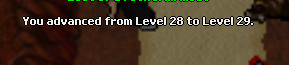 9776714164200051122358.png