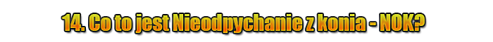 987611407493234974005.png