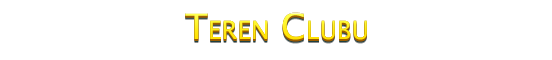 989951439246046578515.png