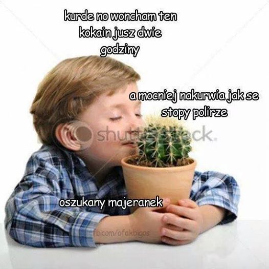 997951405979105531369.jpeg