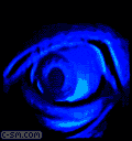 592930609b242_post-112721-125863544966.gif