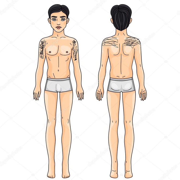 depositphotos_24638883-stock-illustration-male-body-front-and-back.jpg
