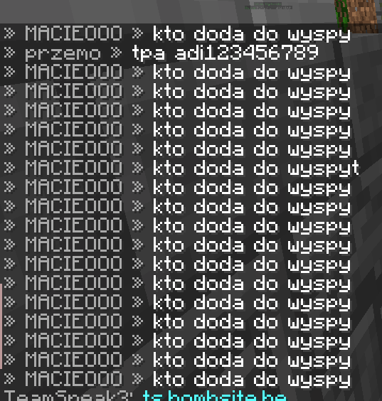 Przechwytywanie.PNG
