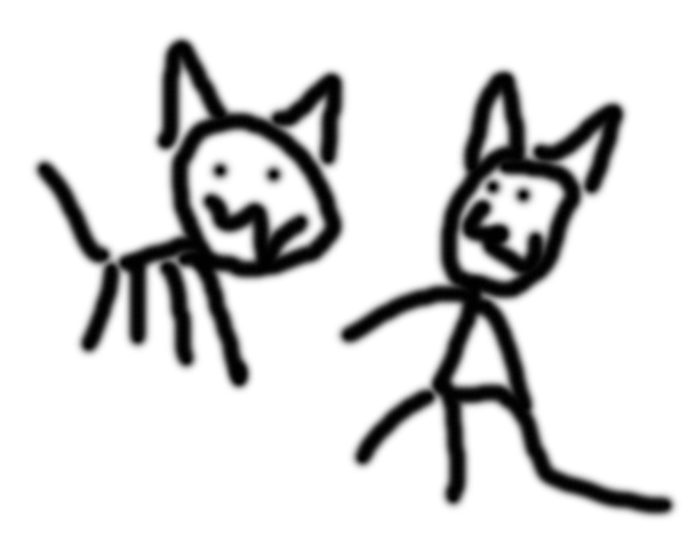 catzz.png