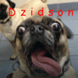 Dzidsoneczek