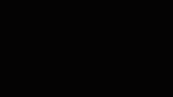 slowiki_intro_1.gif