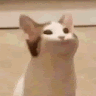 GabrysNotFound