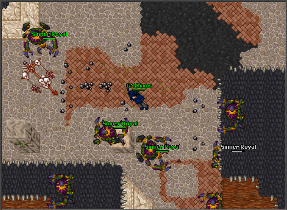 obraz.png