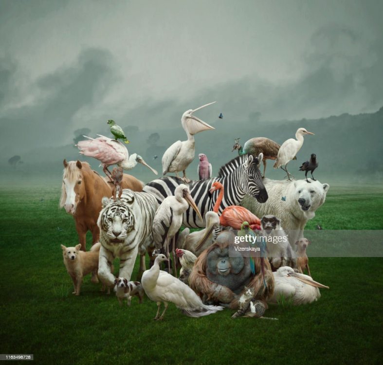 gettyimages-1163498728-1024x1024.jpg