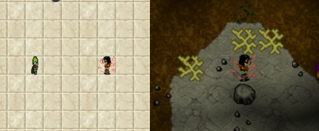 zdj1.png