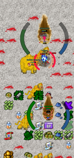 zdj2.png