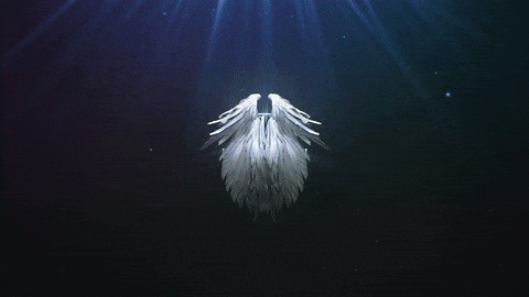 ezgif-3-7b5532c825.gif