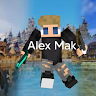 Alex2010oop20