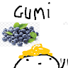 GumiJagodnik