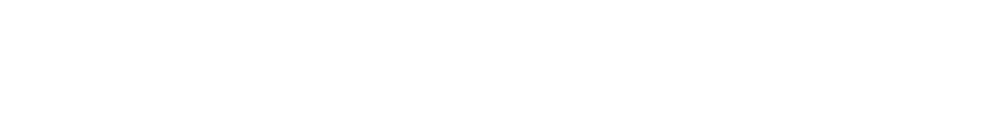 logo magmacube.net.png