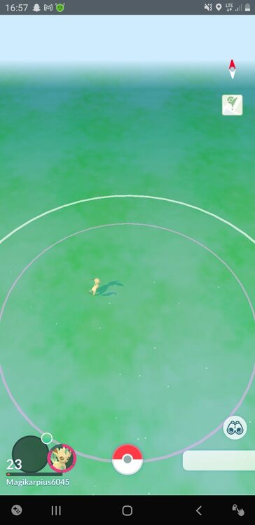 Screenshot_20240821-165745_Pokmon GO.jpg