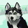 Polar_wolf_