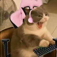 Burleska_
