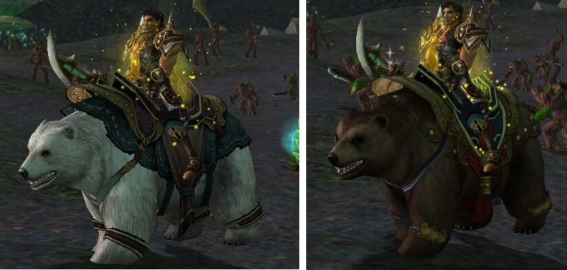 2tex - Bear mounts.jpg
