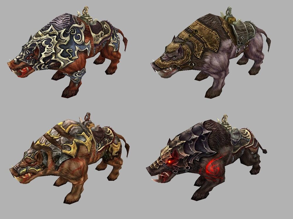 4tex - boar.jpg