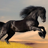 rainbow1396