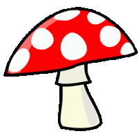 MuchomorYT
