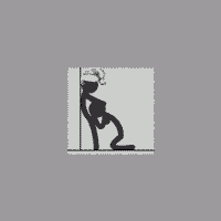 Synek63222