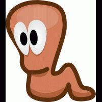 WiceMiszcz