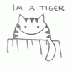tiger666