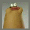 TJgerI'm