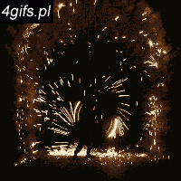 TesT203