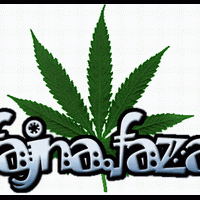 -Fajna.Faza-