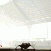 rail_n1